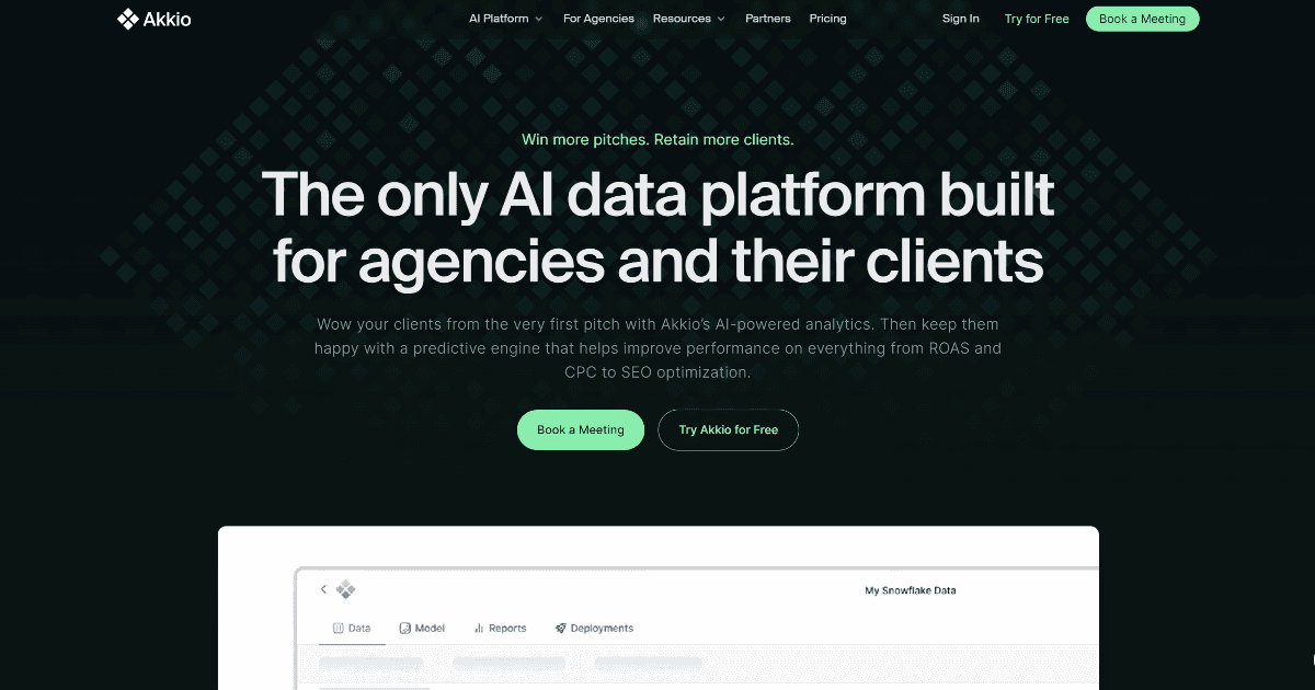 Akkio screenshot